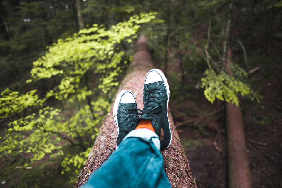 Person resting with legs raised on a fallen tree in the forest
