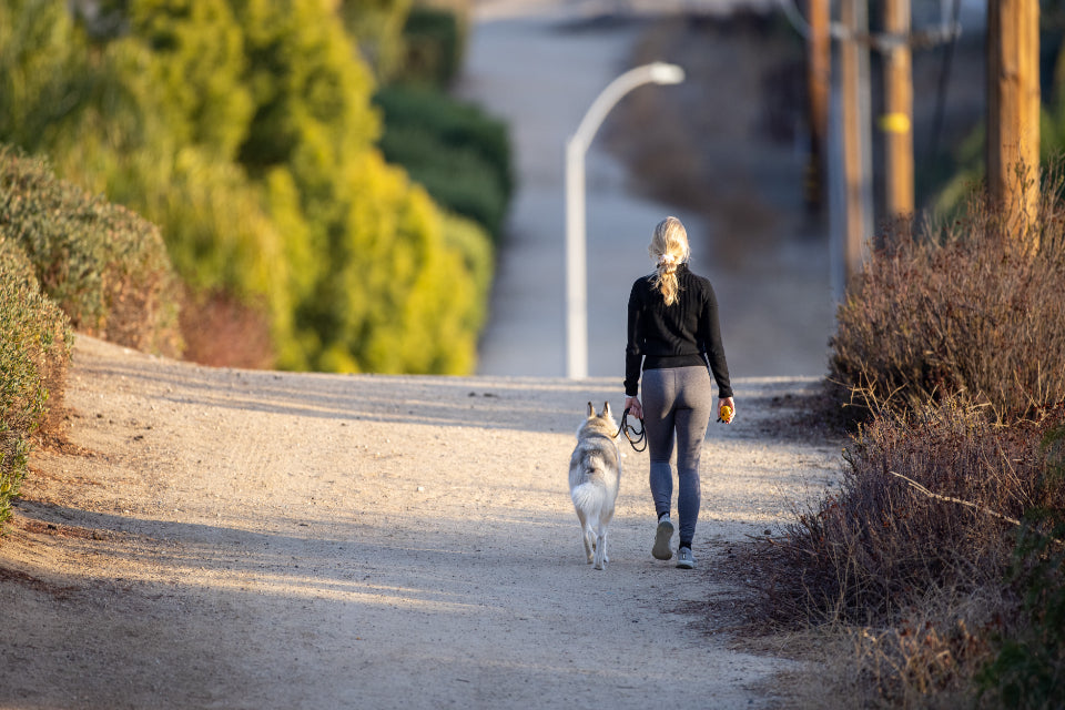 Woman walking a dog up a quiet path