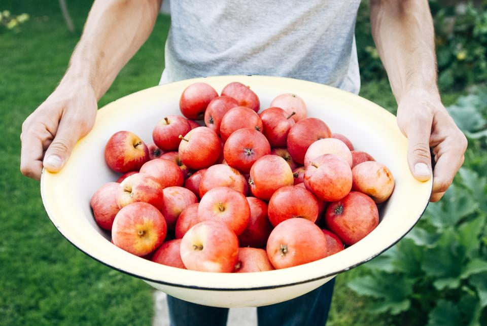 Person holding a large bowl of fresh red apples