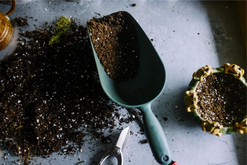 Garden trowel and potting soil on a table