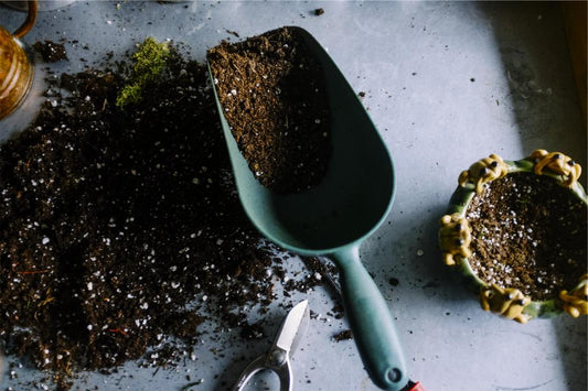 Garden trowel and potting soil on a table